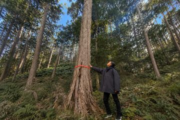 Encountering Hinoki