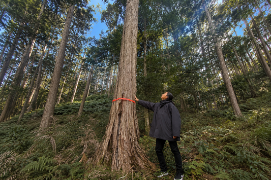 Encountering Hinoki