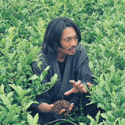 SAMIDORI MATCHA