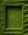 TEOWA #001 MATCHA